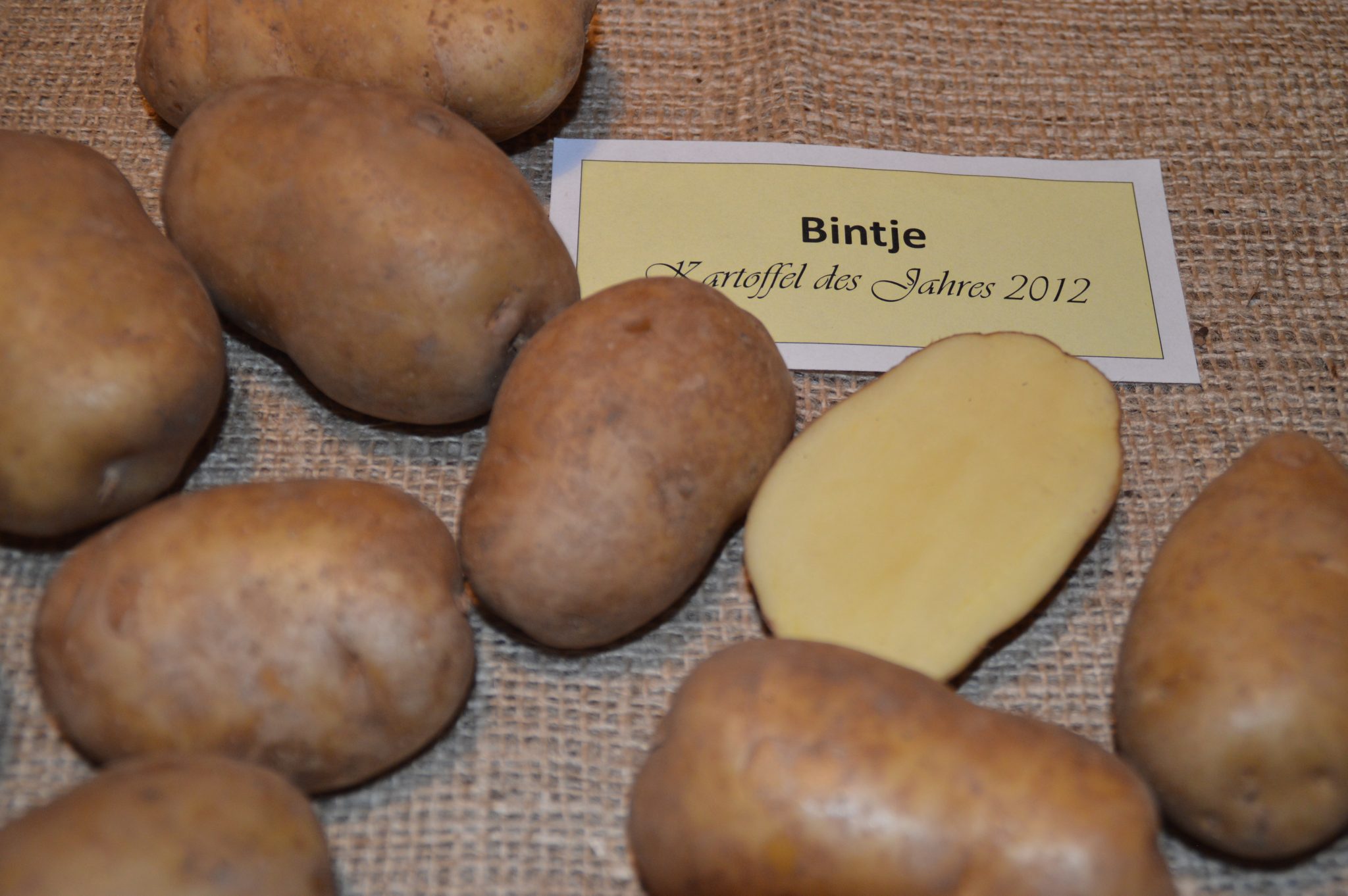 Bintje Kartoffeln Rewe